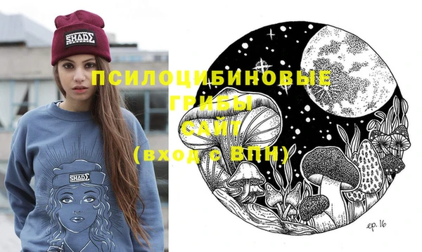 стаф Зерноград