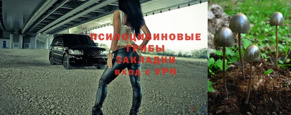 стаф Зерноград