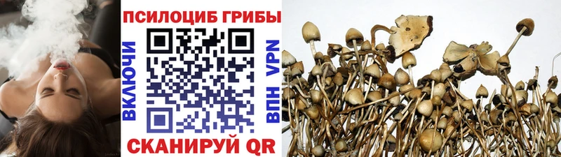 Галлюциногенные грибы MAGIC MUSHROOMS  Купить закладки  Заринск 